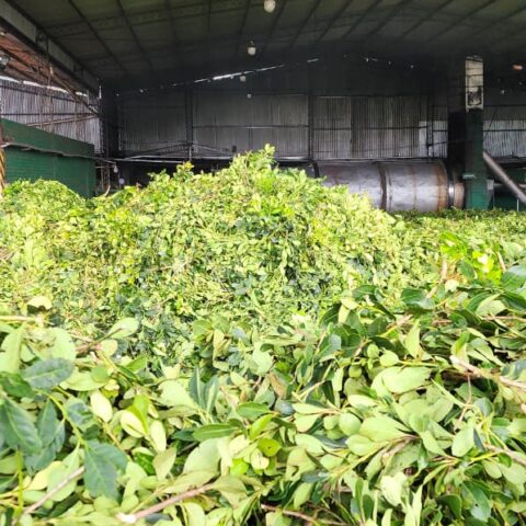 WhatsApp Image 2024-05-21 at 10.17.53