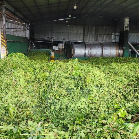 WhatsApp Image 2024-05-21 at 10.18.09