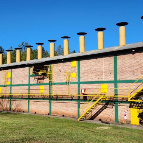 WhatsApp Image 2024-08-13 at 12.04.40