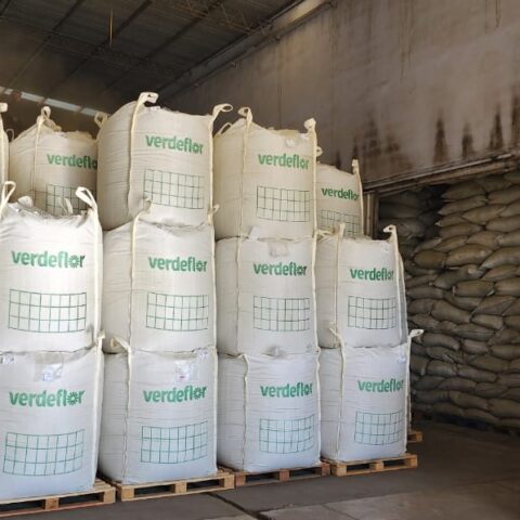 WhatsApp Image 2024-08-14 at 09.44.20